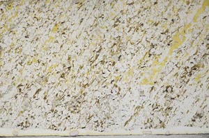 Plane Polarized, S61339/A