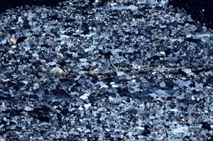 Cross Polarized, S61340