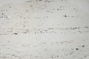 Plane Polarized, S61340