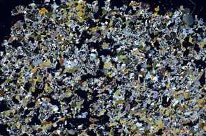 Cross Polarized, S61341