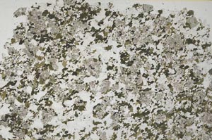 Plane Polarized, S61341