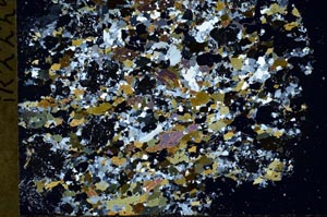 Cross Polarized, S61351