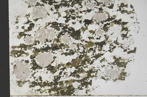 Plane Polarized, S61351