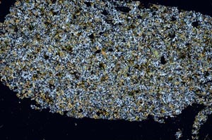 Cross Polarized, S61352