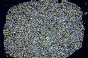 Cross Polarized, S61353