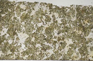 Plane Polarized, S61354