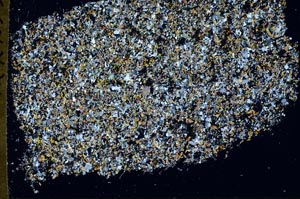 Cross Polarized, S61355