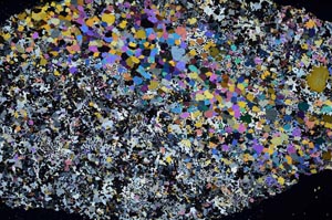 Cross Polarized, S61356