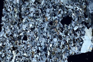 Cross Polarized, S61357