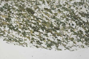 Plane Polarized, S61362