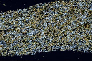 Cross Polarized, S61363