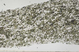 Plane Polarized, S61363