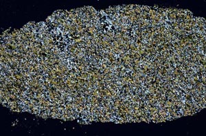 Cross Polarized, S61364