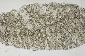 Plane Polarized, S61364