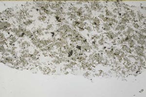 Plane Polarized, S61366