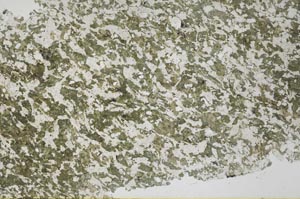 Plane Polarized, S61367