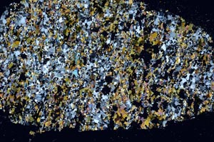 Cross Polarized, S61369