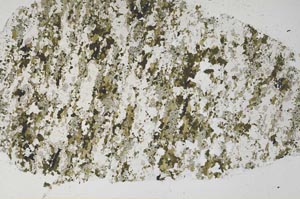 Plane Polarized, S61369