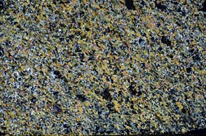 Cross Polarized, S61372