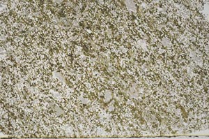 Plane Polarized, S61372