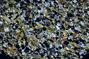 Cross Polarized, S61373