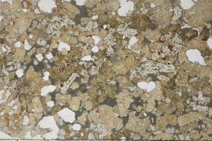 Plane Polarized, S61374