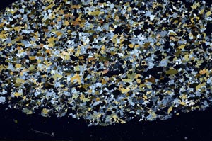 Cross Polarized, S61380