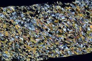 Cross Polarized, S61381