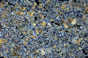 Cross Polarized, S61384