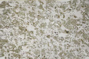 Plane Polarized, S61384