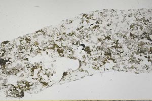 Plane Polarized, S61385