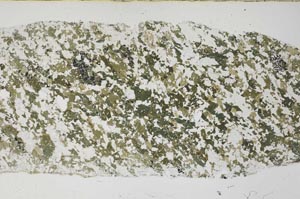 Plane Polarized, S61386