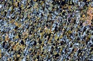 Cross Polarized, S61387