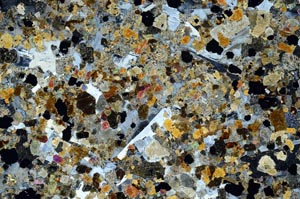 Cross Polarized, S61391