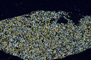 Cross Polarized, S61392