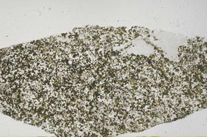 Plane Polarized, S61392