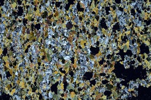 Cross Polarized, S61394