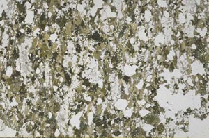 Plane Polarized, S61394