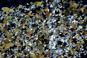 Cross Polarized, S61396