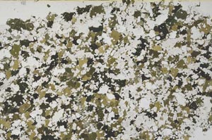 Plane Polarized, S61396