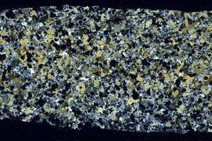 Cross Polarized, S61397