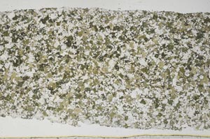 Plane Polarized, S61397