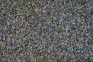 Cross Polarized, S61398