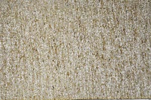 Plane Polarized, S61398