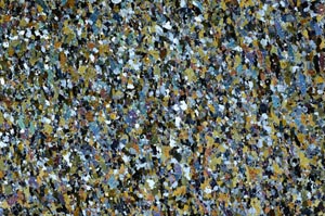 Cross Polarized, S61399