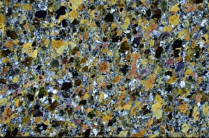 Cross Polarized, S61401