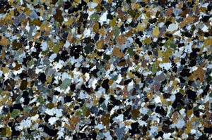 Cross Polarized, S61402