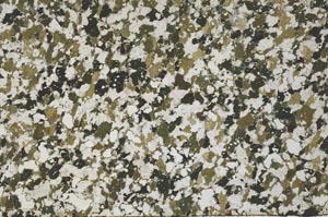 Plane Polarized, S61402