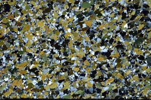 Cross Polarized, S61403