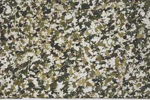 Plane Polarized, S61403